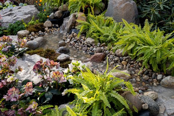 Water stream feature with rocks and flowers in the Emerge display